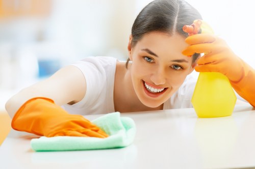 Specialist pet stain odour removal for rental property in West Harrow