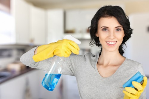 Professional upholstery cleaning for a living room sofa