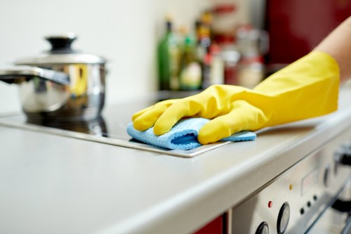 Follow-up assessment for a carpet cleaning issue
