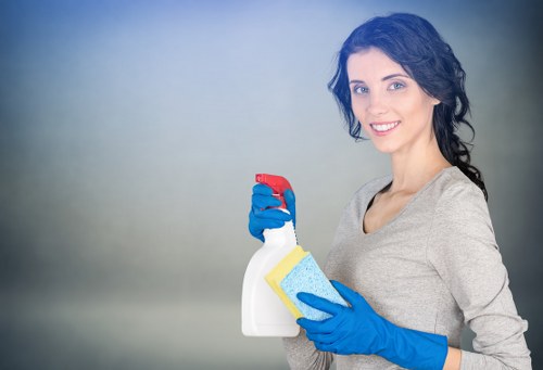 Professional carpet cleaning process in a West Harrow property